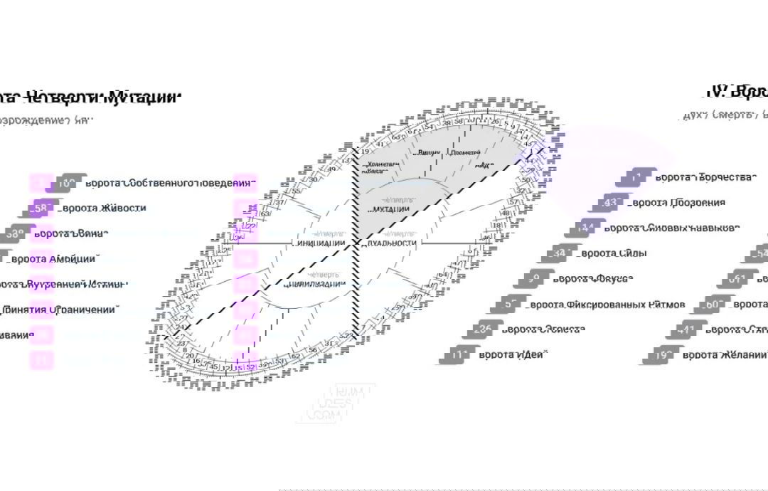 Иллюстрация: круговая диаграмма «Колесо года» в системе Дизайна человека с выделенной IV Четвертью Мутации и списком ворот рядом.