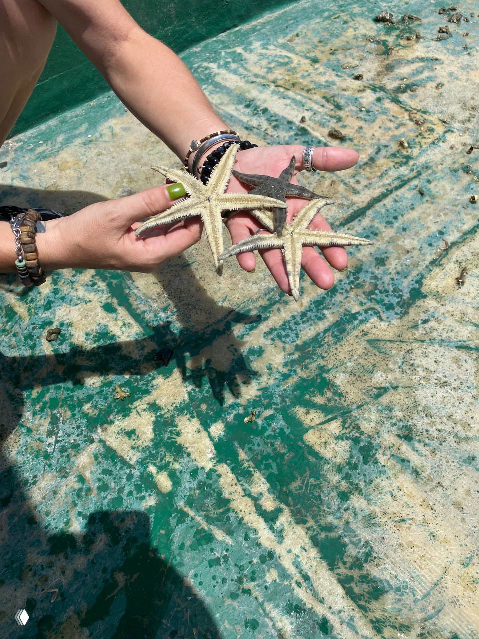 Руки туриста держат несколько морских звёзд на шершавой палубе лодки; видны браслеты, тени и следы морской жизни — кадр с экскурсии на Хайнане.