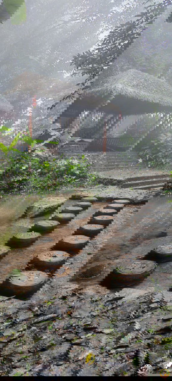 Мостики-ступени через мелководье и хижина с соломенной крышей в туманной части парка Байхуань, создающие мистическую атмосферу.