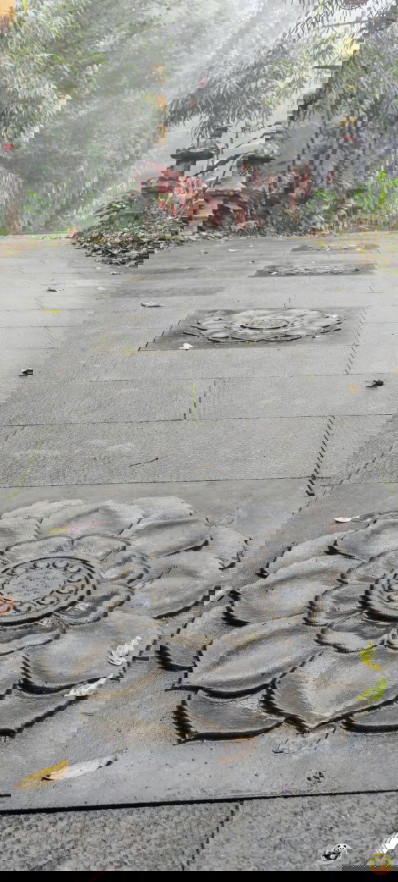 Влажная каменная плитка с цветочным рельефом на дорожке парка Байхуань — гладкие отполированные узоры в туманной тропе.