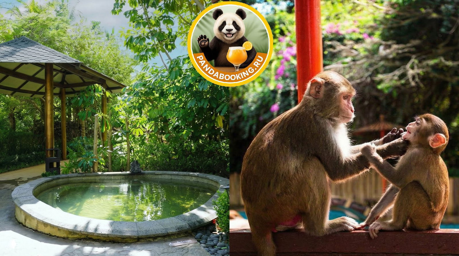 Горячие источники «Нilton» + остров обезьян