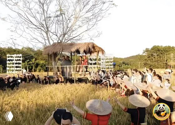 Зрители и участники собрались у сцены и рисовых полей, массовое празднование фестиваля шаньлань с обрядами и выступлениями.