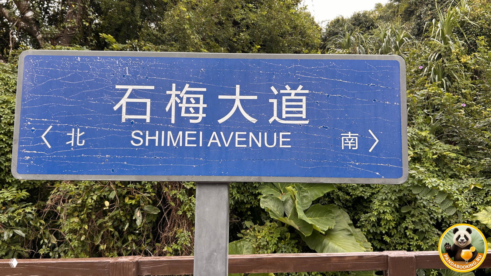 Синяя дорожная табличка «SHIMEI AVENUE» с китайскими и латинскими буквами на фоне густой зелёной растительности, указатель направления.