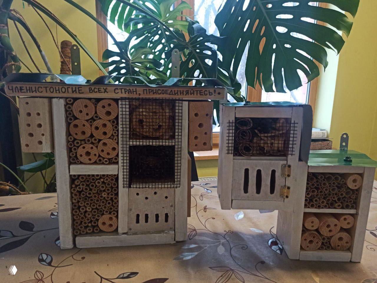 Несколько деревянных мини-домиков для насекомых на столе в комнате; видны наборы трубочек, срезы брусков и сетчатые окошки в раме.