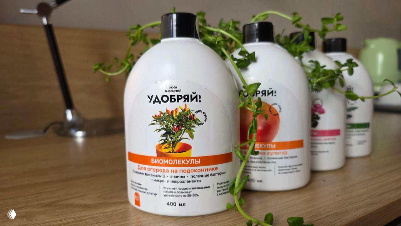 Шпаргалка по выращиванию огорода дома