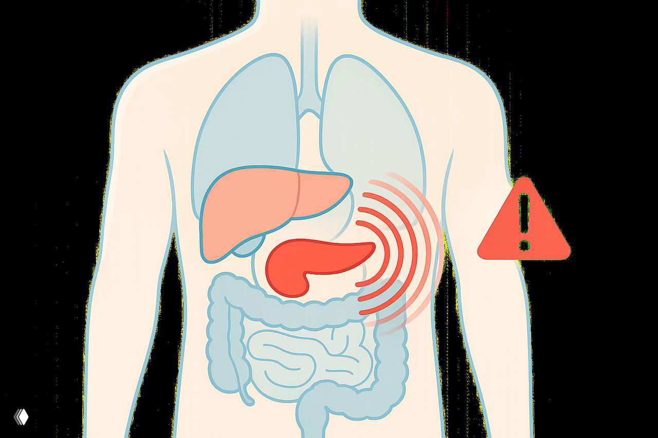 Иллюстрация анатомии брюшной полости с подчёркнутой поджелудочной железой, печенью и выделением области боли — предупреждающий знак рядом.