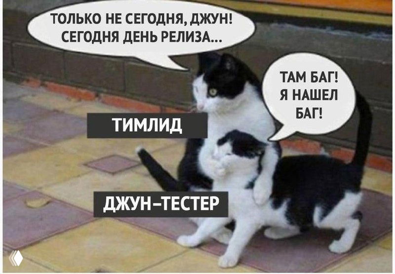 Мем с двумя чёрно-белыми кошками на плиточном полу: старшая кошка держит младшую; на изображении подписи «ТИМЛИД» и «ДЖУН-ТЕСТЕР», шутка про релиз и найденный баг.