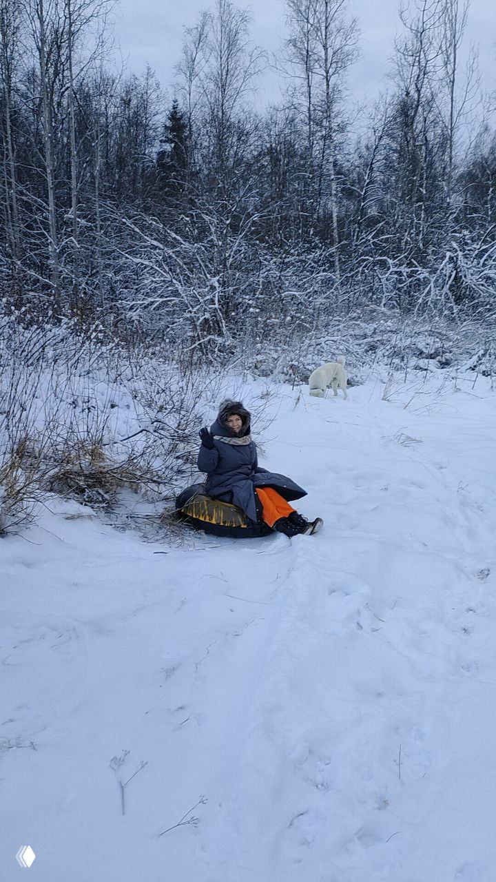 Человек в тёплой куртке сидит на надувной ватрушке в снегу; рядом проходит белая собака, вокруг лес и мягкий зимний свет, настроение отдыха и простоты.