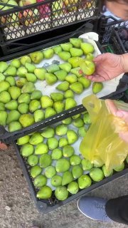 Ящики с зелёными плодами на развале/рынке; рука человека выбирает плоды и кладёт их в полиэтиленовый пакет, видны контейнеры и часть обуви