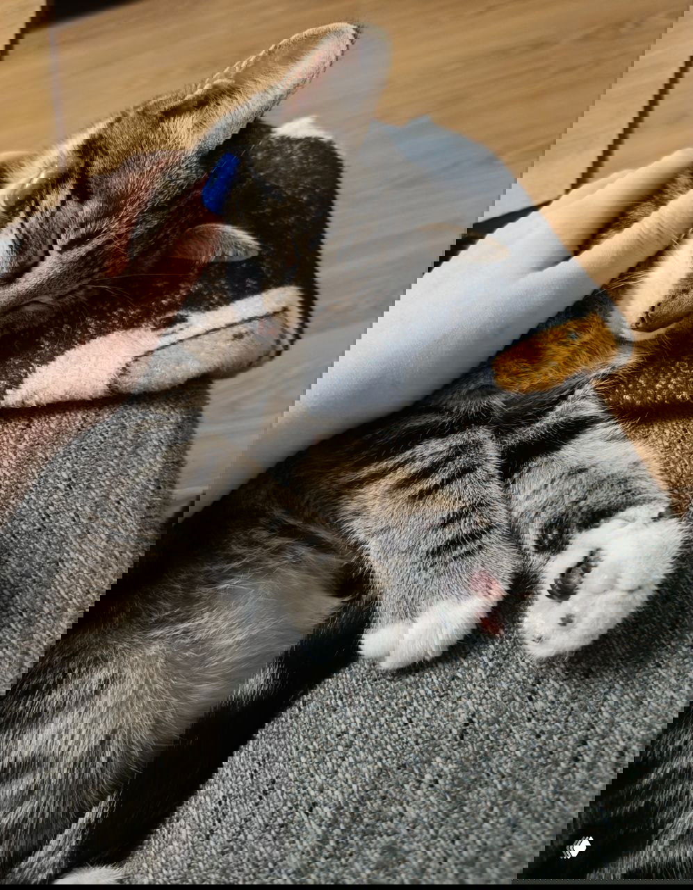 ДА: хочу учиться, но нет времени