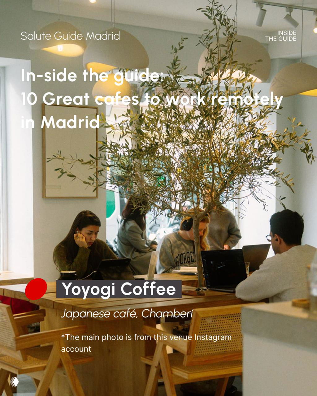 Busy café workspace with customers on laptops around a central table and indoor olive tree — Yoyogi Coffee feature image.