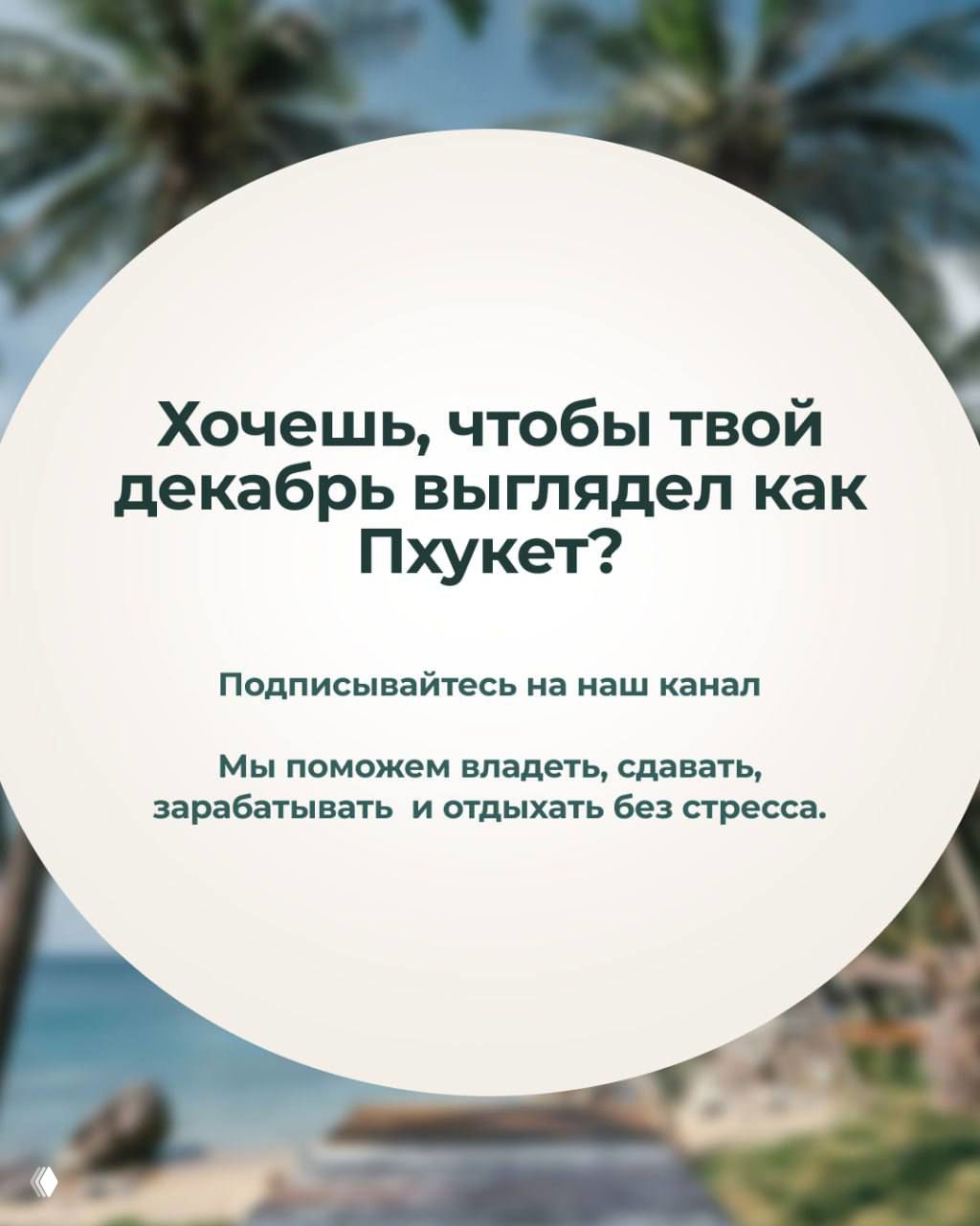 Круглая графика с текстом «Хочешь, чтобы твой декабрь выглядел как Пхукет?» на размытом фоне пальм, пляжа и тропической зелени, рекламный посыл KOYA.