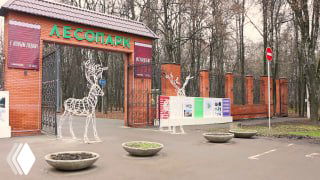 Вход в Рязанский Лесопарк: кирпичный забор, декоративная арка и световая инсталляция оленя на зимней аллее парка.