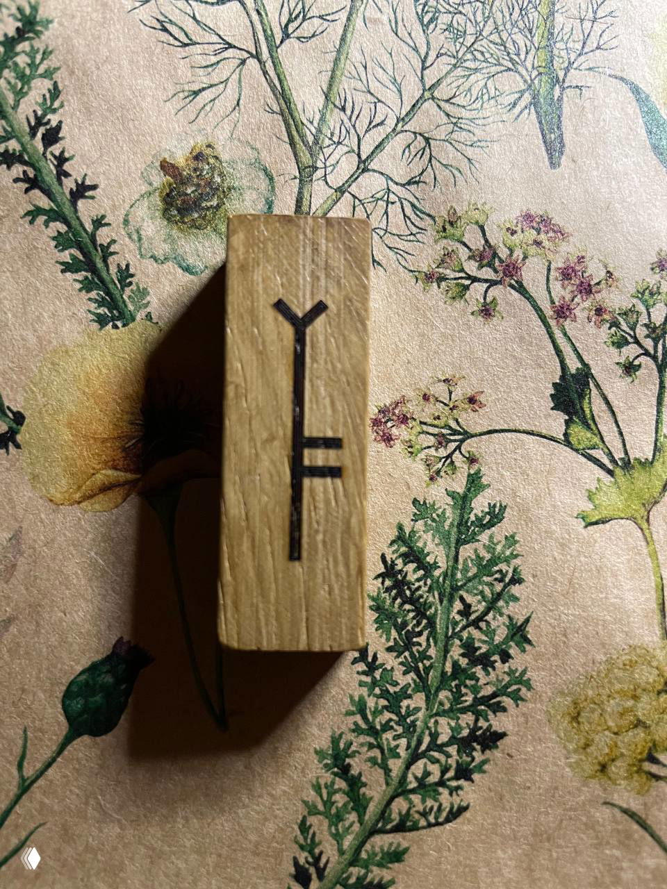 Феда Дуб (перевёрнутая): прогноз и совет на 31.01.26