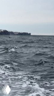 Океанская поверхность у берегов Камчатки: волны, следы от лодки и прибрежные скалы в холодную пасмурную погоду.