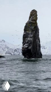 Одинокая морская скала-столб у берегов полуострова, вокруг чайки и суровый прибрежный ландшафт Камчатки.