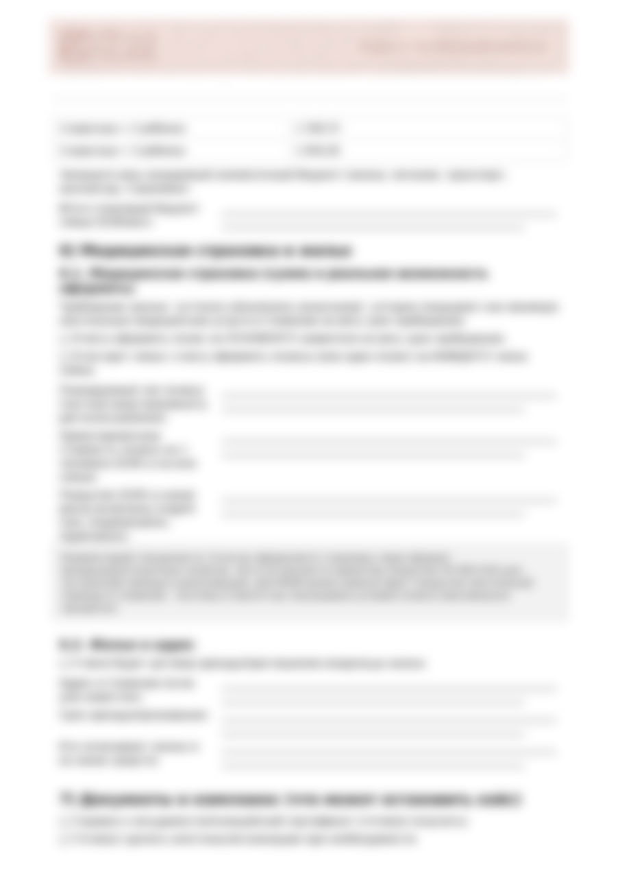 Форма PDF с инструкциями и списками документов для подачи на ВНЖ Digital Nomad в Словении, распределённая по логическим блокам и таблицам для ответов.